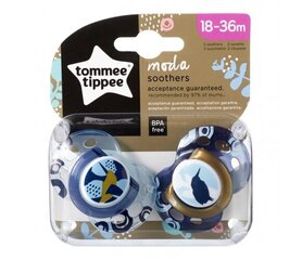 Пустышка Tommee Tippee Moda, для мальчика 18 - 36 месяцев, 2 шт, 43343841 цена и информация | Пустышки | pigu.lt