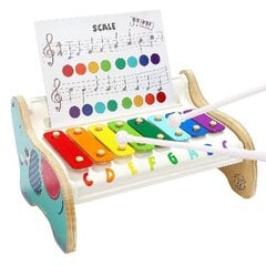 Детский ксилофон Слоник Top Bright цена и информация | Развивающие игрушки | pigu.lt