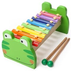 Детский ксилофон Лягушонок Top Bright цена и информация | Развивающие игрушки | pigu.lt