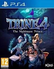 Trine 4: The Nightmare Prince PS4 цена и информация | Компьютерные игры | pigu.lt