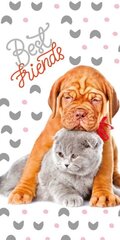 Полотенце для детей Best Friends, 70x140 см цена и информация | Полотенца | pigu.lt