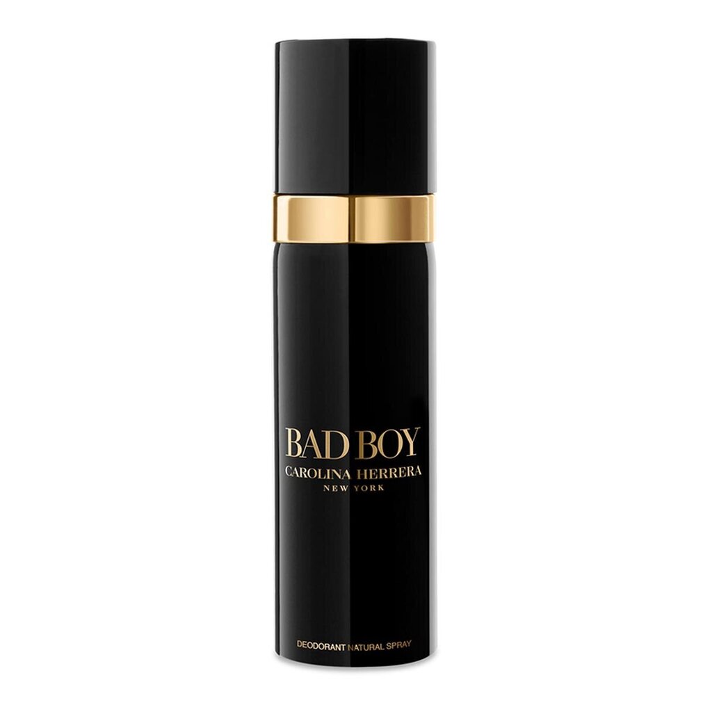 Purškiamas dezodorantas Carolina Herrera Bad Boy vyrams 100 ml цена и информация | Parfumuota kosmetika vyrams | pigu.lt