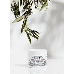 Drėkinamasis veido kremas Kiehls Ultra 50 ml kaina ir informacija | Veido kremai | pigu.lt