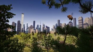 Bee Simulator PS4 цена и информация | Компьютерные игры | pigu.lt