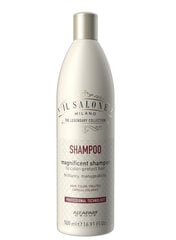 Шампунь для окрашенных волос Alfaparf Il Salone Milano Magnificient 500 мл цена и информация | Шампуни | pigu.lt