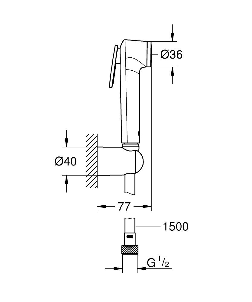 Grohe Tempeste-F Trigger Spray 30 bidetė 26353000 kaina ir informacija | Dušo komplektai ir panelės | pigu.lt