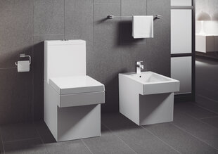 Grohe Essentials Cube держатель для туалетной бумаги 40507001 цена и информация | Набор акскссуаров для ванной | pigu.lt