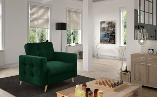 Кресло Asgard, зеленое цена и информация | Кресла в гостиную | pigu.lt