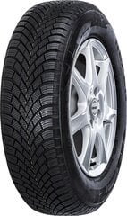 Nexen Winguard Snow G 3 (WH21) 195/50R15 82 H kaina ir informacija | Žieminės padangos | pigu.lt