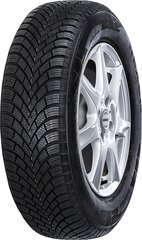 Nexen Winguard Snow G 3 (WH21) 195/60R15 88 H kaina ir informacija | Žieminės padangos | pigu.lt