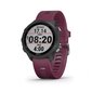 Garmin Forerunner 245 (010-02120-11), Purple kaina ir informacija | Išmanieji laikrodžiai (smartwatch) | pigu.lt