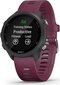 Garmin Forerunner 245 (010-02120-11), Purple kaina ir informacija | Išmanieji laikrodžiai (smartwatch) | pigu.lt