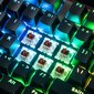 Modecom Lanparty 2 RGB Gateron Brown kaina ir informacija | Klaviatūros | pigu.lt