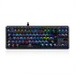 Modecom Lanparty 2 RGB Gateron Brown цена и информация | Klaviatūros | pigu.lt