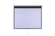 Sieninis projektoriaus ekranas Šilelis ES-1, įstrižaine 213cm, 16:9 цена и информация | Projektorių ekranai | pigu.lt