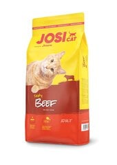 JosiCat с вкусной говядиной Tasty Beef, 10 кг цена и информация | Сухой корм для кошек | pigu.lt