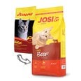 JosiCat с вкусной говядиной Tasty Beef, 10 кг