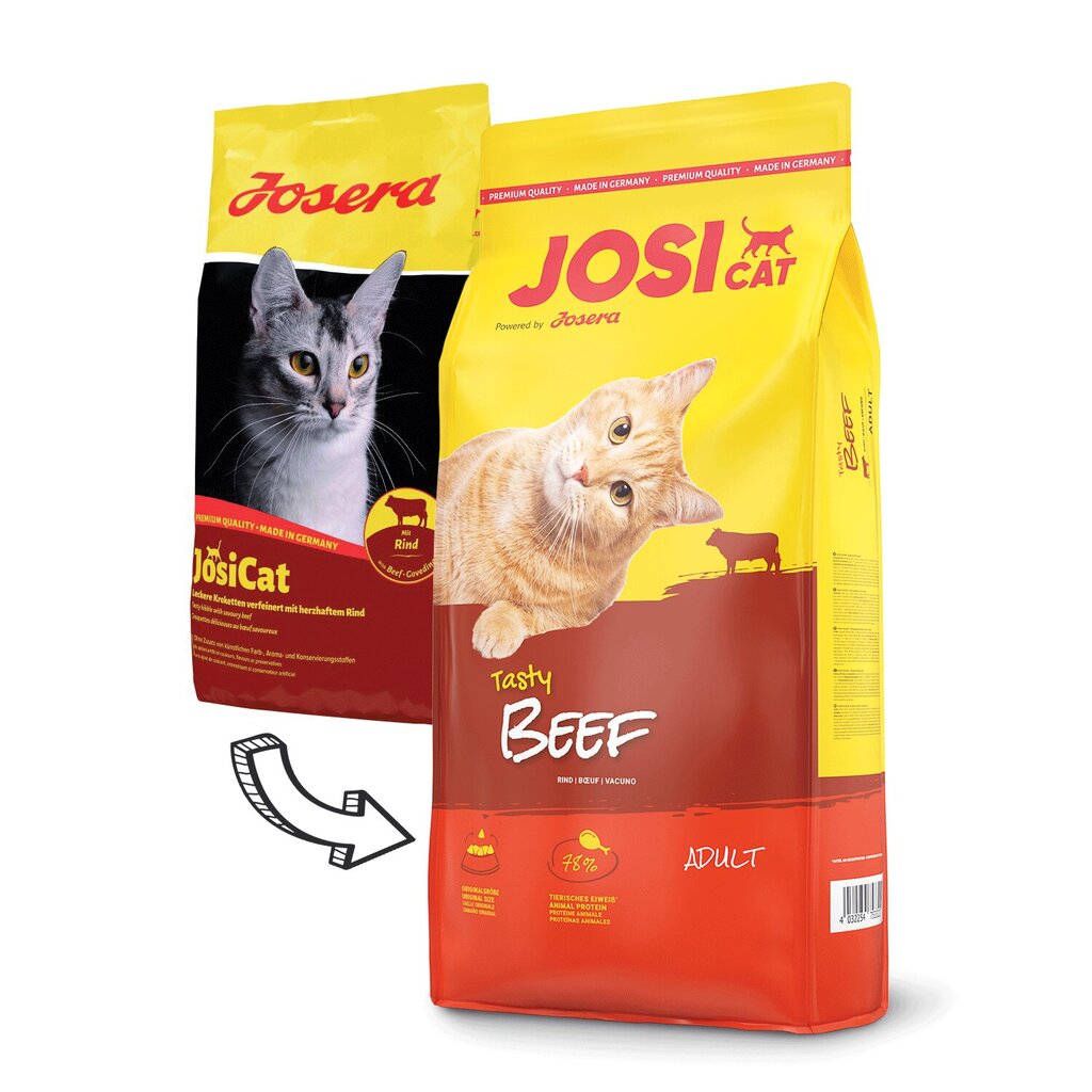 JosiCat su gardžia jautiena Tasty Beef, 10 kg kaina ir informacija | Sausas maistas katėms | pigu.lt