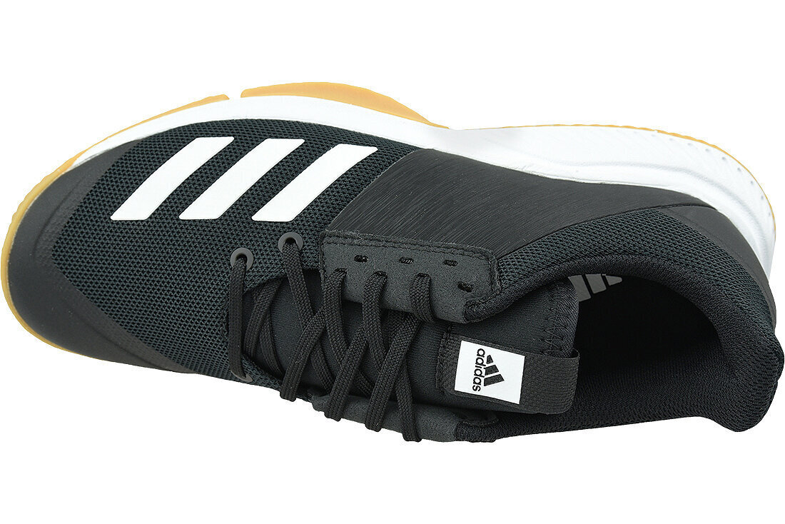 Sportiniai bateliai vyrams Adidas Crazyflight Team D97701, juodi цена и информация | Kedai vyrams | pigu.lt