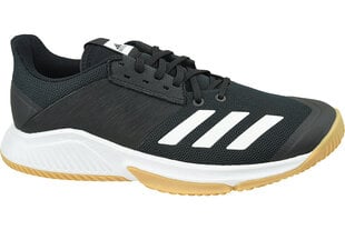 Мужские кроссовки Adidas Crazyflight Team D97701, черные цена и информация | Кроссовки для мужчин | pigu.lt