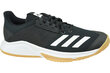 Sportiniai bateliai vyrams Adidas Crazyflight Team D97701, juodi цена и информация | Kedai vyrams | pigu.lt