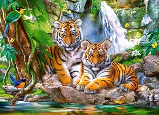 Dėlionė Puzzle Castorland Tiger Falls, 300 det. kaina ir informacija | Dėlionės (puzzle) | pigu.lt