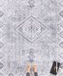 Nouristan kilimas Asmar Gratia, 120x160 cm kaina ir informacija | Kilimai | pigu.lt