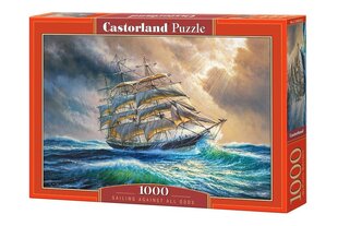 Puzzle 1000 элементов "Sailing against all odds" цена и информация | Пазлы | pigu.lt