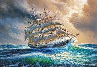 Puzzle 1000 элементов "Sailing against all odds" цена и информация | Пазлы | pigu.lt