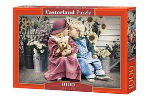 Dėlionė Puzzle Castorland First Love, 1000 det. цена и информация | Пазлы | pigu.lt