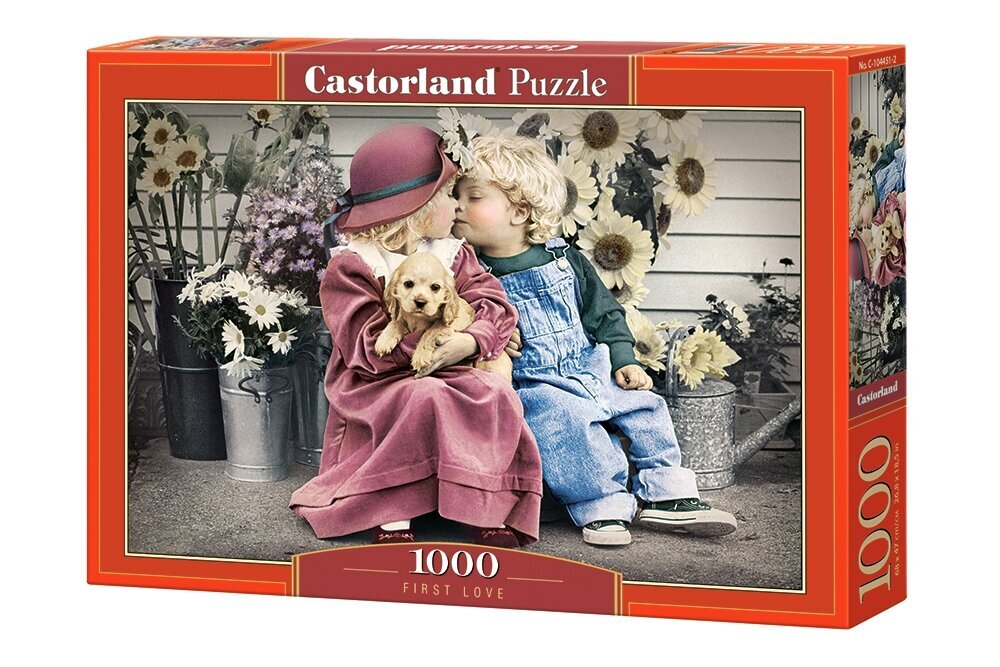 Dėlionė Puzzle Castorland First Love, 1000 det. kaina ir informacija | Dėlionės (puzzle) | pigu.lt