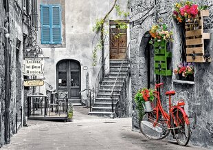 Dėlionė Puzzle Castorland Charming Alley with Red Bicycle, 500 det. kaina ir informacija | Dėlionės (puzzle) | pigu.lt