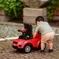Paspiriamas vaikiškas automobilis Lorelli OFF ROAD, raudonas цена и информация | Žaislai kūdikiams | pigu.lt
