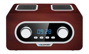 Blaupunkt PP5.2BR цена и информация | BLAUPUNKT Аудио- и видеоаппаратура | pigu.lt