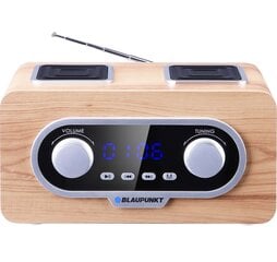 Blaupunkt PP5.2BR цена и информация | BLAUPUNKT Аудио- и видеоаппаратура | pigu.lt