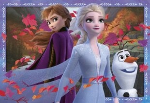 Пазл Ravensburger Ледяная страна 2 (Frozen 2) Ледяные приключение, 2х24 д, 5010 цена и информация | Пазлы | pigu.lt