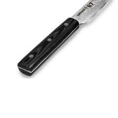 Samura DAMASCUS 67 Универсальный Кухонный нож для Нарезки Tanto 230 мм из AUS 10 Дамасской стали 61 HRC (67-слойный) цена и информация | Ножи и аксессуары для них | pigu.lt