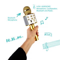 Караоке-микрофон-динамик с эффектами изменения голоса WS-858 цена и информация | Развивающие игрушки | pigu.lt