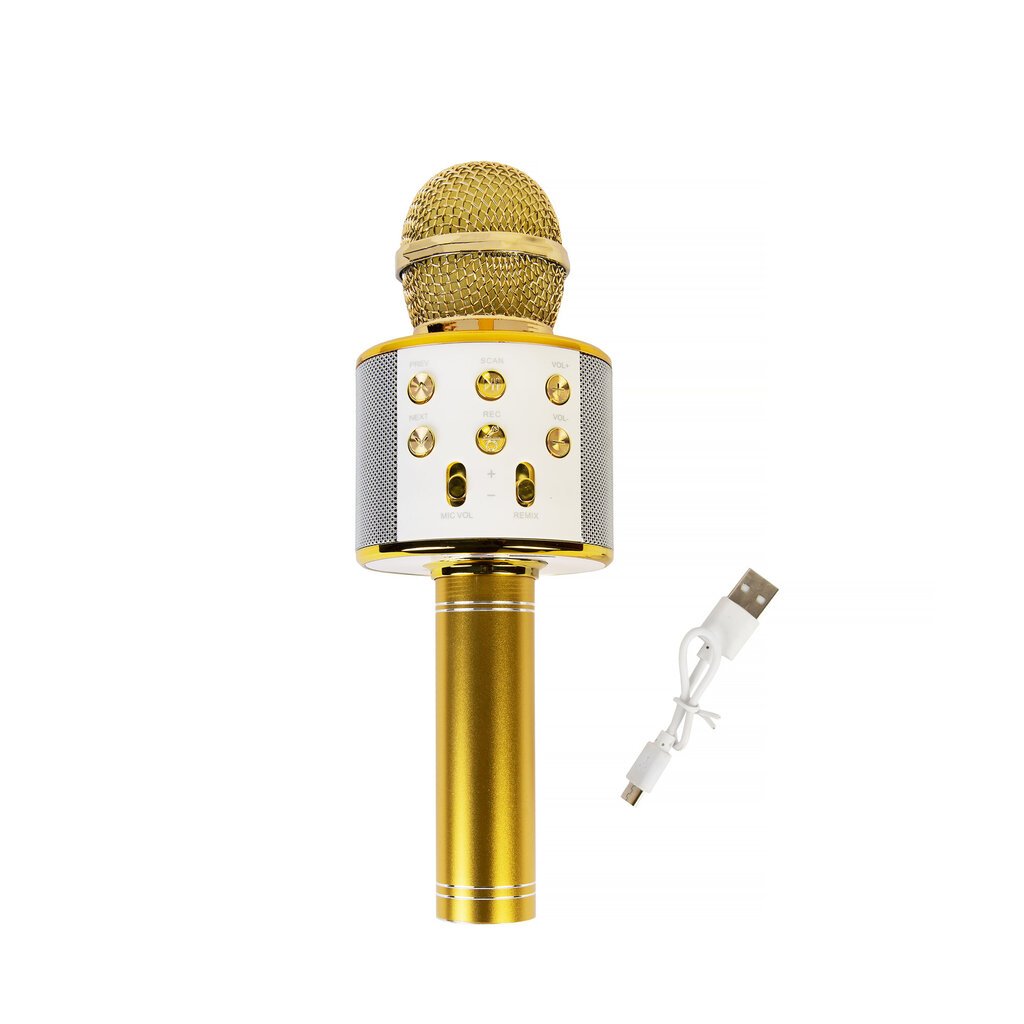 Karaokė mikrofonas-kolonėlė su balso keitimo efektais WS-858 цена и информация | Lavinamieji žaislai | pigu.lt