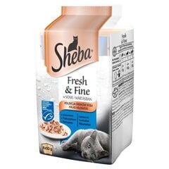 Sheba Fresh & Fine Mini šlapias kačių maistas žuvies skonio, 6x50 g kaina ir informacija | Konservai katėms | pigu.lt