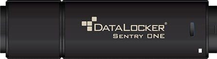 DataLocker SONE008 kaina ir informacija | USB laikmenos | pigu.lt