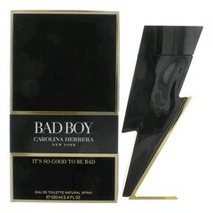 Tualetinis vanduo Carolina Herrera Bad Boy EDT vyrams 100 ml kaina ir informacija | Kvepalai vyrams | pigu.lt