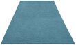 Mint Rugs kilimas Cloud 80x150 cm kaina ir informacija | Kilimai | pigu.lt