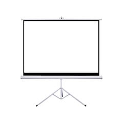Экран для проектора с подставкой Šilelis ET-1, диагональ 255см, 1:1 цена и информация | Экраны для проекторов | pigu.lt
