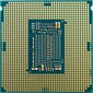 Intel CM8068403358819 kaina ir informacija | Procesoriai (CPU) | pigu.lt