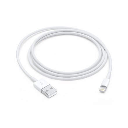 Apple Lightning to USB Cable (1m) - MXLY2ZM/A цена и информация | Laidai telefonams | pigu.lt