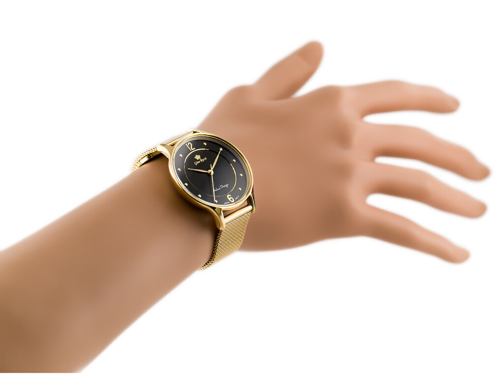 Laikrodis Gino Rossi GR10317AJ цена и информация | Moteriški laikrodžiai | pigu.lt