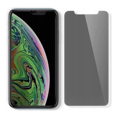 Защитная пленка Spigen для Iphone 11 цена и информация | Защитные пленки для телефонов | pigu.lt