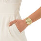 Moteriškas laikrodis Michael Kors Slim Runway MK3179 kaina ir informacija | Moteriški laikrodžiai | pigu.lt