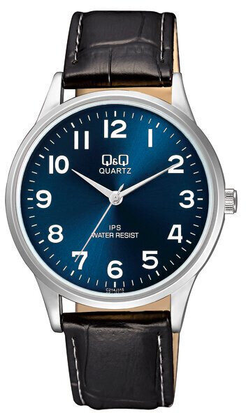 Laikrodis vyrams Q&Q C214J315 цена и информация | Vyriški laikrodžiai | pigu.lt